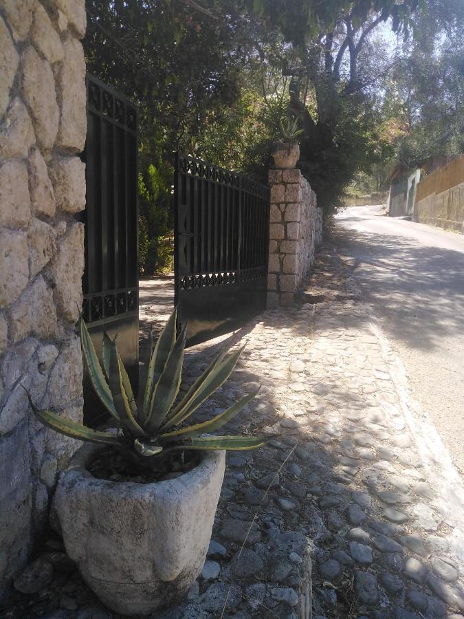 Olea Home Agia Pelagia Chlomou Екстериор снимка