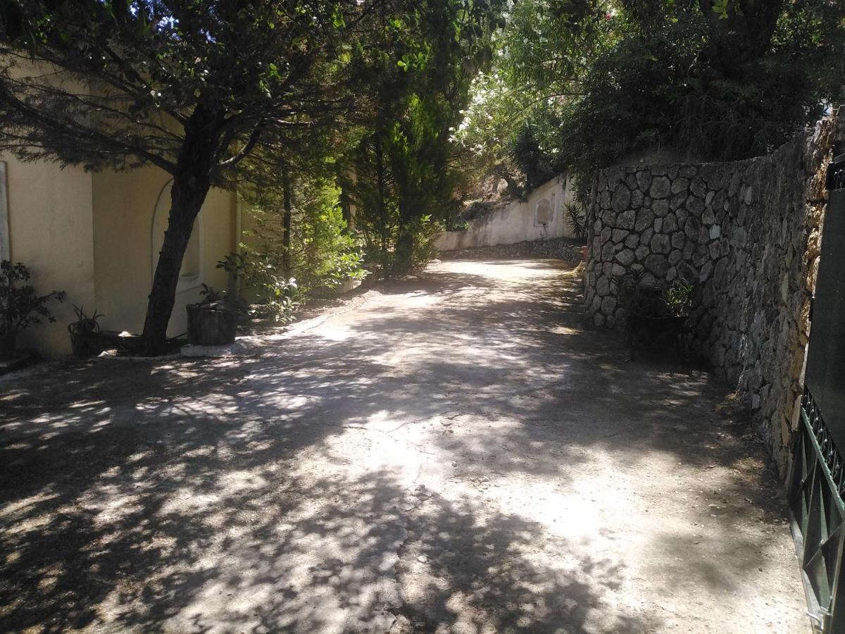 Olea Home Agia Pelagia Chlomou Екстериор снимка